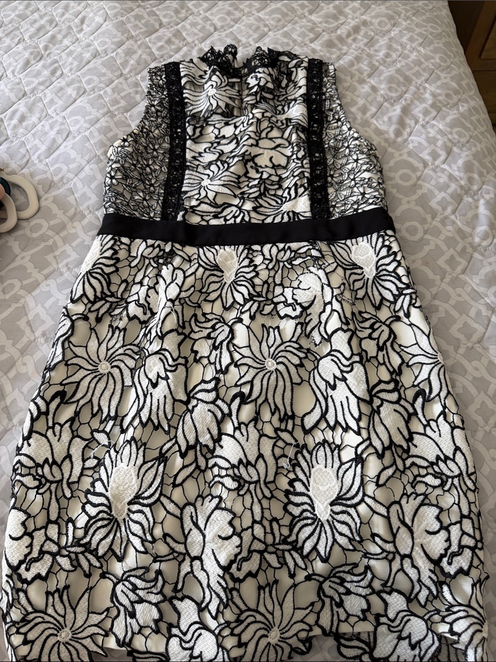 Aqua Black and White Floral Lace Dress
